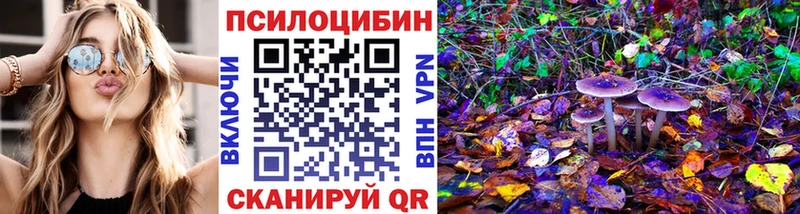 Галлюциногенные грибы Cubensis  KRAKEN как зайти  Новый Уренгой 